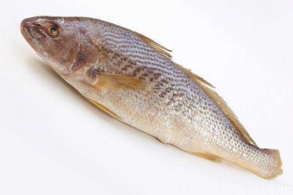 什么是黃姑魚呢 黃姑魚有什么營養(yǎng)價值呢 什么是黃姑魚呢 黃姑魚有什么營養(yǎng)價值呢