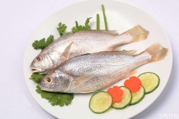 什么是白姑魚呢 白姑魚有什么營養(yǎng)價值呢