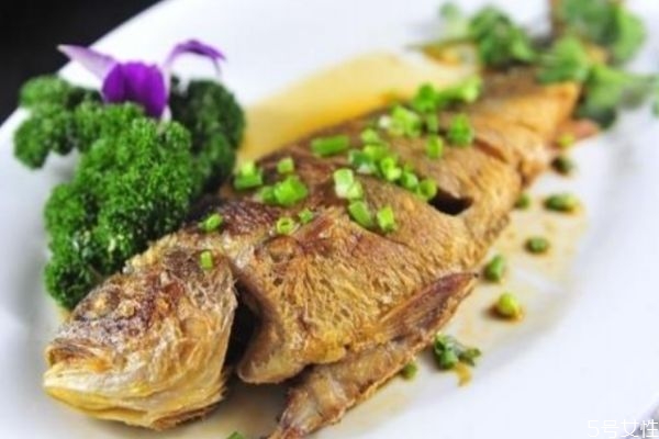 白姑魚怎么做好吃呢 白姑魚的選購方法有什么呢 白姑魚怎么做好吃呢 白姑魚的選購方法有什么呢