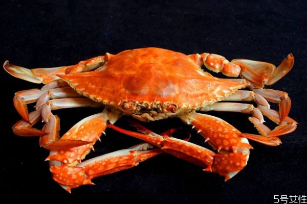 梭子蟹怎么做好吃呢 梭子蟹應該怎么挑選呢 梭子蟹怎么做好吃呢 梭子蟹應該怎么挑選呢