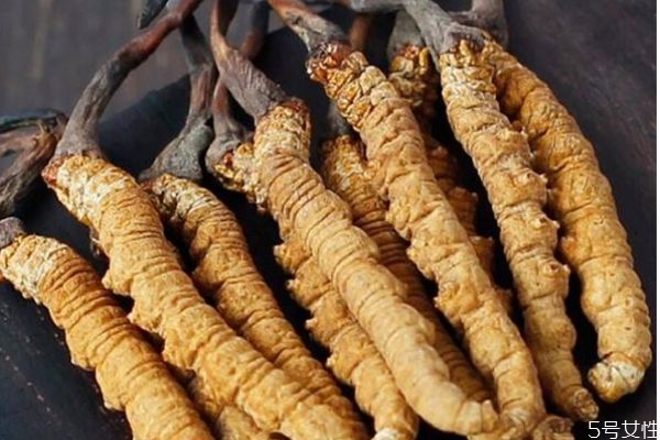 蟲草有什么功效呢 蟲草生長(zhǎng)在哪里呢 蟲草有什么功效呢 蟲草生長(zhǎng)在哪里呢