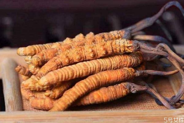 蟲草有什么功效呢 蟲草生長(zhǎng)在哪里呢 蟲草有什么功效呢 蟲草生長(zhǎng)在哪里呢