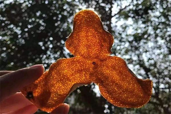 陳皮發(fā)霉了可以洗嗎 陳皮發(fā)霉用水洗干凈還能吃嗎 陳皮發(fā)霉了可以洗嗎 陳皮發(fā)霉用水洗干凈還能吃嗎