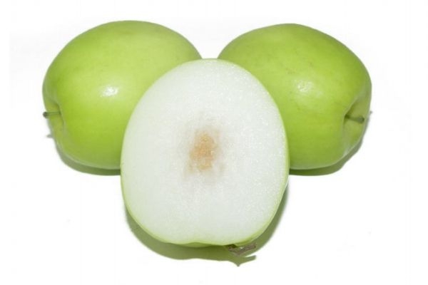 孕婦可以吃青棗嗎 孕婦吃青棗有什么好處呢 孕婦可以吃青棗嗎 孕婦吃青棗有什么好處呢