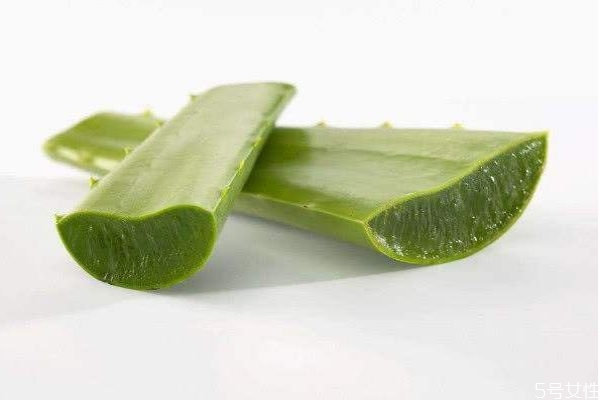 蘆薈可以吃嗎 吃蘆薈有什么作用呢 蘆薈可以吃嗎 吃蘆薈有什么作用呢