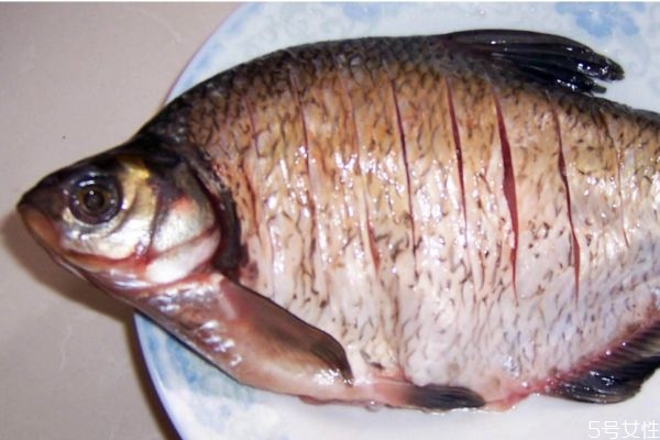 淡水魚和海魚有什么區(qū)別呢 淡水魚和海魚哪種更好呢 淡水魚和海魚有什么區(qū)別呢 淡水魚和海魚哪種更好呢