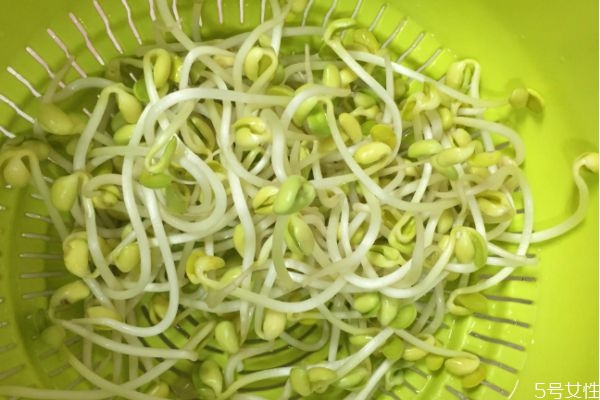 豆芽有什么營養(yǎng)價值呢 吃豆芽有什么好處呢 豆芽有什么營養(yǎng)價值呢 吃豆芽有什么好處呢