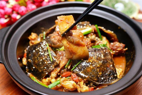 吃甲魚(yú)會(huì)過(guò)敏嗎 吃甲魚(yú)過(guò)敏怎么辦 吃甲魚(yú)會(huì)過(guò)敏嗎 吃甲魚(yú)過(guò)敏怎么辦