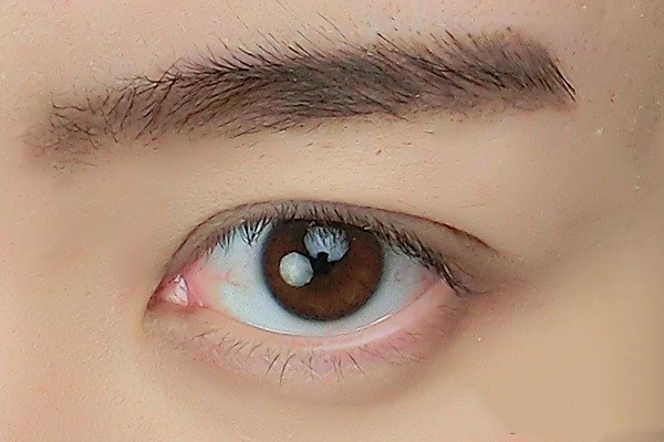 圓臉適合一字眉嗎 一字眉適合的臉型有哪些 圓臉適合一字眉嗎 一字眉適合的臉型有哪些