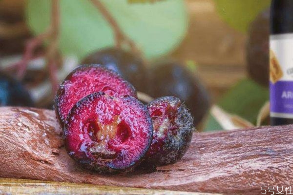 什么野櫻莓呢 野櫻莓有什么營養(yǎng)價(jià)值呢