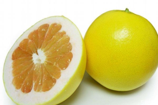 吃柚子會(huì)上火嗎 孕婦可以吃柚子嗎 吃柚子會(huì)上火嗎 孕婦可以吃柚子嗎
