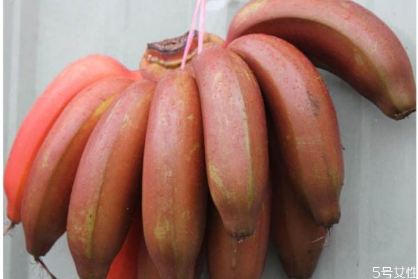 孕婦可以吃紅香蕉嗎 紅香蕉多少錢一斤呢 孕婦可以吃紅香蕉嗎 紅香蕉多少錢一斤呢