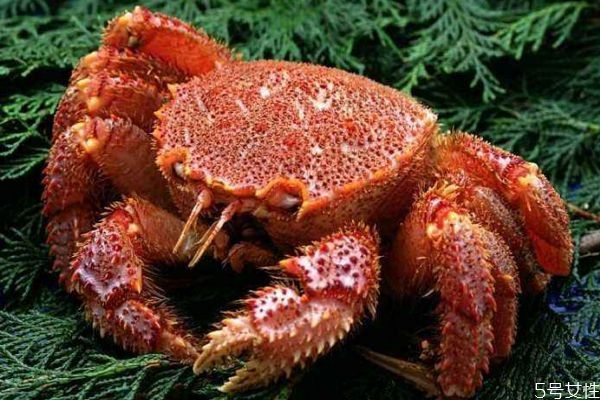 什么是毛蟹呢 毛蟹有什么營(yíng)養(yǎng)價(jià)值呢 什么是毛蟹呢 毛蟹有什么營(yíng)養(yǎng)價(jià)值呢