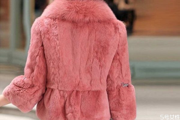 獺兔毛皮草怎么挑選 兔毛皮草保養(yǎng)方法 獺兔毛皮草怎么挑選 兔毛皮草保養(yǎng)方法