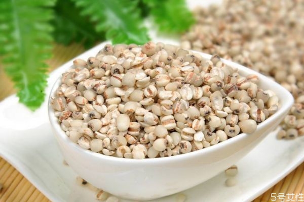 薏仁有什么營養(yǎng)價值呢 吃薏仁有什么好處呢 薏仁有什么營養(yǎng)價值呢 吃薏仁有什么好處呢