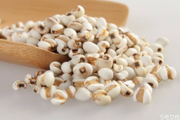 薏仁有什么營養(yǎng)價值呢 吃薏仁有什么好處呢 薏仁有什么營養(yǎng)價值呢 吃薏仁有什么好處呢