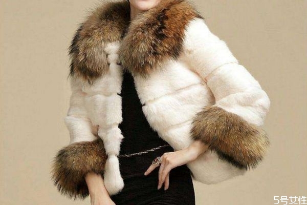 獺兔毛皮草怎么分辨真假 獺兔毛有幾個(gè)等級(jí) 獺兔毛皮草怎么分辨真假 獺兔毛有幾個(gè)等級(jí)