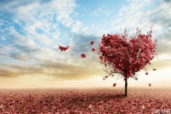 愛情可以勉強(qiáng)嗎 勉強(qiáng)的愛情會幸福嗎 愛情可以勉強(qiáng)嗎 勉強(qiáng)的愛情會幸福嗎