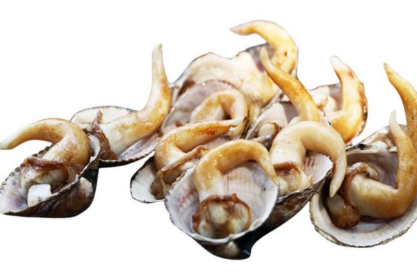 什么是鳥貝呢 鳥貝可以吃嗎 什么是鳥貝呢 鳥貝可以吃嗎