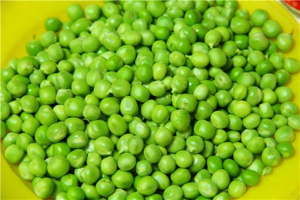 豌豆燉排骨怎么做好吃 豌豆燉排骨有什么營養(yǎng) 豌豆燉排骨怎么做好吃 豌豆燉排骨有什么營養(yǎng)