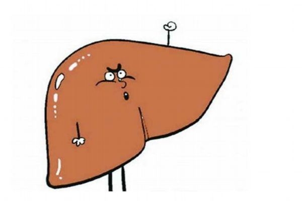 什么是肝囊腫呢 肝囊腫有什么危害呢 什么是肝囊腫呢 肝囊腫有什么危害呢