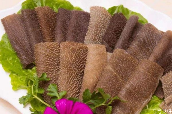 什么是毛肚呢 吃毛肚前應(yīng)該怎么處理毛肚呢 什么是毛肚呢 吃毛肚前應(yīng)該怎么處理毛肚呢