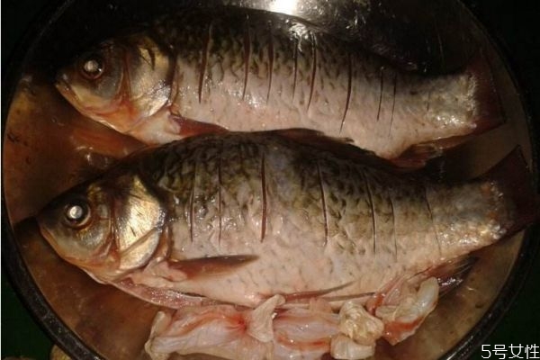 孕婦可以吃鯽魚嗎 孕婦吃鯽魚有什么注意的呢 孕婦可以吃鯽魚嗎 孕婦吃鯽魚有什么注意的呢