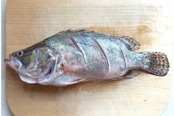 什么是鱖魚(yú)呢 鱖魚(yú)有什么營(yíng)養(yǎng)價(jià)值呢 什么是鱖魚(yú)呢 鱖魚(yú)有什么營(yíng)養(yǎng)價(jià)值呢