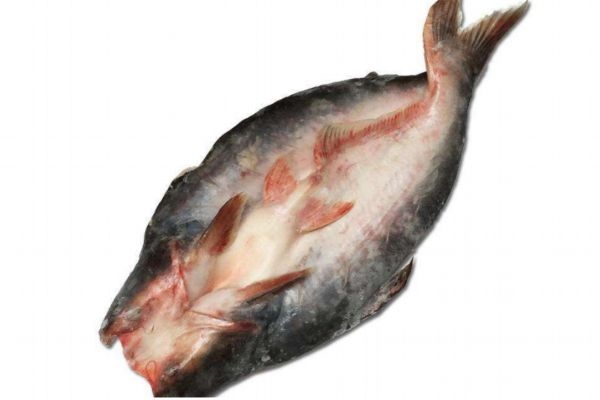 什么是龍利魚呢 龍利魚有什么營養(yǎng)價值呢 什么是龍利魚呢 龍利魚有什么營養(yǎng)價值呢