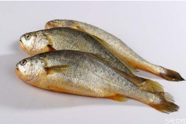 什么是黃花魚(yú)呢 黃花魚(yú)有什么營(yíng)養(yǎng)價(jià)值呢 什么是黃花魚(yú)呢 黃花魚(yú)有什么營(yíng)養(yǎng)價(jià)值呢
