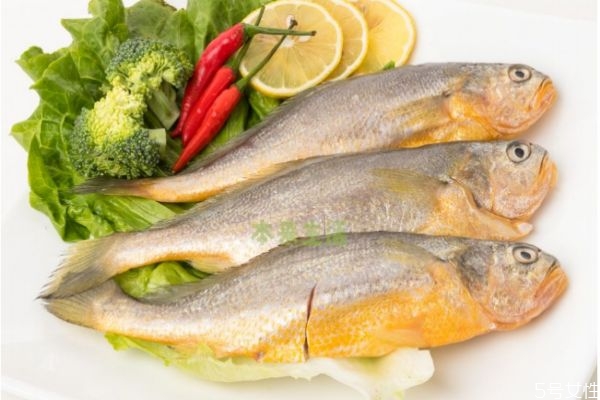 什么是黃花魚(yú)呢 黃花魚(yú)有什么營(yíng)養(yǎng)價(jià)值呢 什么是黃花魚(yú)呢 黃花魚(yú)有什么營(yíng)養(yǎng)價(jià)值呢