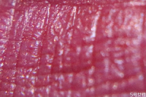 阿瑪尼紅管509好看嗎 阿瑪尼紅管509什么顏色 阿瑪尼紅管509好看嗎 阿瑪尼紅管509什么顏色