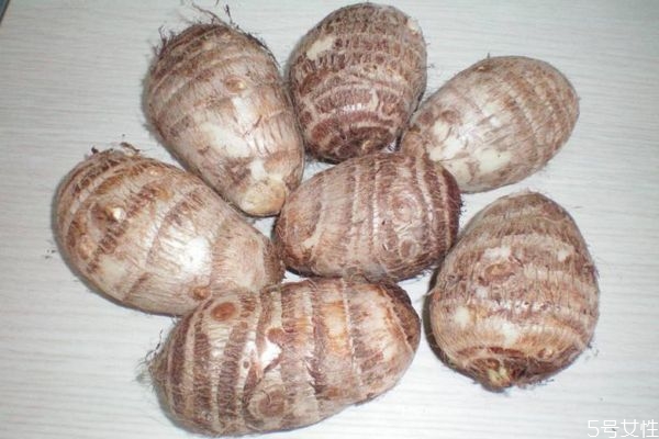 孕婦吃芋頭有什么注意的嗎 孕婦可以經(jīng)常吃芋頭嗎 孕婦吃芋頭有什么注意的嗎 孕婦可以經(jīng)常吃芋頭嗎