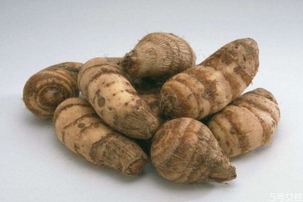 孕婦吃芋頭有什么注意的嗎 孕婦可以經(jīng)常吃芋頭嗎 孕婦吃芋頭有什么注意的嗎 孕婦可以經(jīng)常吃芋頭嗎