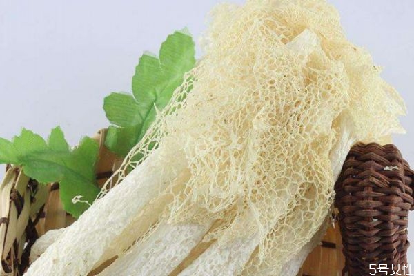 什么是竹蓀呢 竹蓀有什么營(yíng)養(yǎng)價(jià)值呢 什么是竹蓀呢 竹蓀有什么營(yíng)養(yǎng)價(jià)值呢