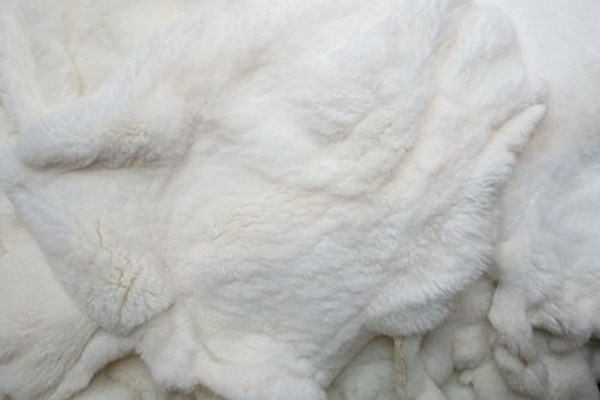 怎么用顏色來鑒別獺兔皮草 獺兔毛有幾個等級 怎么用顏色來鑒別獺兔皮草 獺兔毛有幾個等級