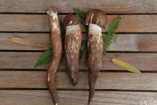 雞樅菌應該怎么挑選呢 雞樅菌出現(xiàn)在幾月份呢 雞樅菌應該怎么挑選呢 雞樅菌出現(xiàn)在幾月份呢