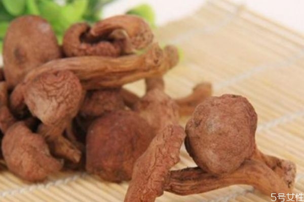 松蘑的價格是多少