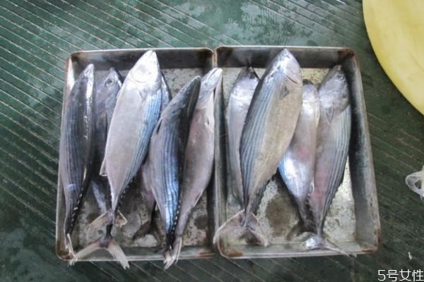 吃竹莢魚(yú)有什么注意的呢 孕婦可以吃竹莢魚(yú)嗎 吃竹莢魚(yú)有什么注意的呢 孕婦可以吃竹莢魚(yú)嗎