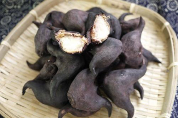 菱角煮多長時(shí)間可以熟 煮菱角放鹽的原因