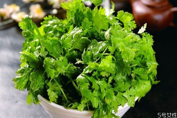 什么人不能吃香菜呢 吃香菜有什么注意的呢 什么人不能吃香菜呢 吃香菜有什么注意的呢