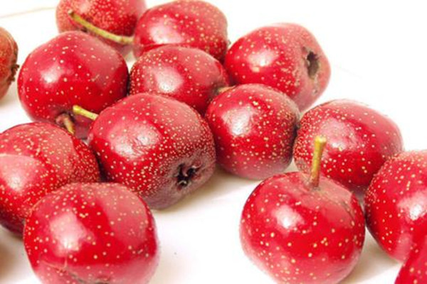 山楂怎么去核快 山楂可以做哪些食品 山楂怎么去核快 山楂可以做哪些食品