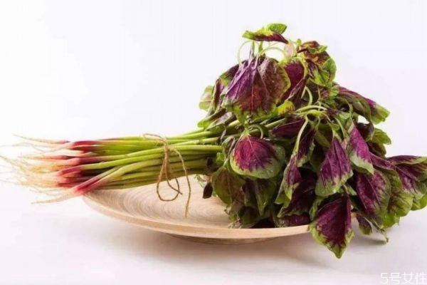 什么是紅莧菜呢 紅莧菜有什么營(yíng)養(yǎng)價(jià)值呢 什么是紅莧菜呢 紅莧菜有什么營(yíng)養(yǎng)價(jià)值呢