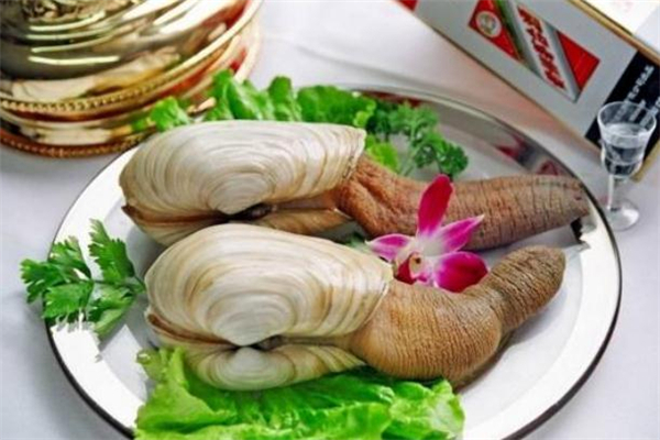 象拔蚌是海鮮還是河鮮 象拔蚌是發(fā)物嗎 象拔蚌是海鮮還是河鮮 象拔蚌是發(fā)物嗎