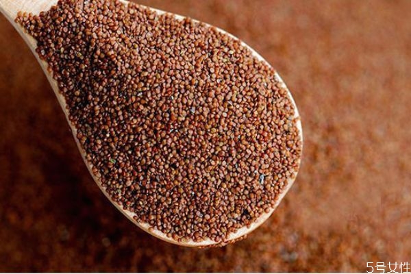 海藻面膜可以每天敷嗎 海藻面膜前幾次使用連著用幾天 海藻面膜可以每天敷嗎 海藻面膜前幾次使用連著用幾天