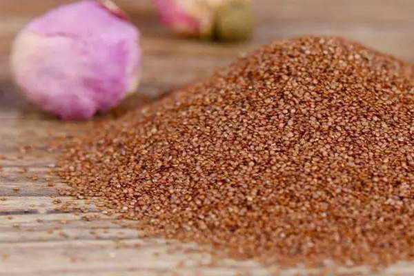 為什么用了海藻面膜后皮膚干 顆粒海藻面膜會過期嗎 為什么用了海藻面膜后皮膚干 顆粒海藻面膜會過期嗎