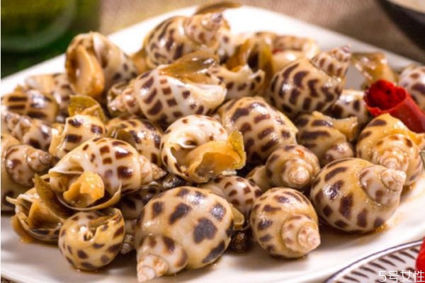 什么是花螺呢 花螺和田螺一樣嗎 什么是花螺呢 花螺和田螺一樣嗎