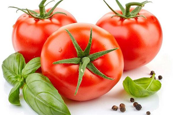 養(yǎng)胃吃西紅柿好嗎 西紅柿養(yǎng)胃怎么吃好 養(yǎng)胃吃西紅柿好嗎 西紅柿養(yǎng)胃怎么吃好