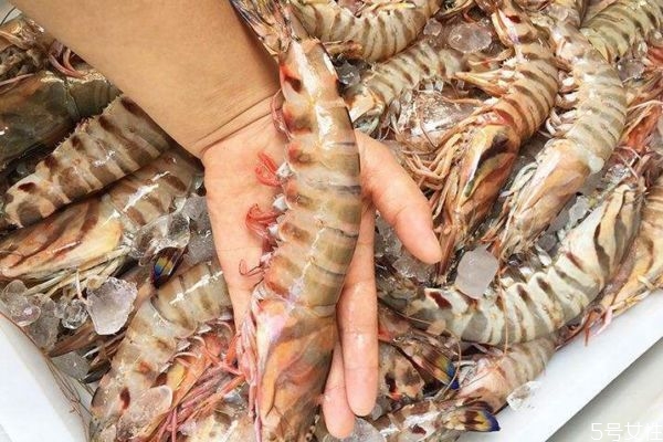 吃竹節(jié)蝦有什么注意的呢 竹節(jié)蝦怎么做好吃呢 吃竹節(jié)蝦有什么注意的呢 竹節(jié)蝦怎么做好吃呢