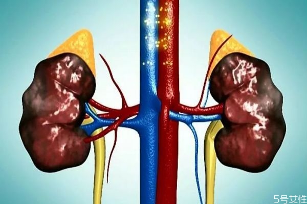 什么是尿毒癥呢 尿毒癥有什么危害呢 什么是尿毒癥呢 尿毒癥有什么危害呢